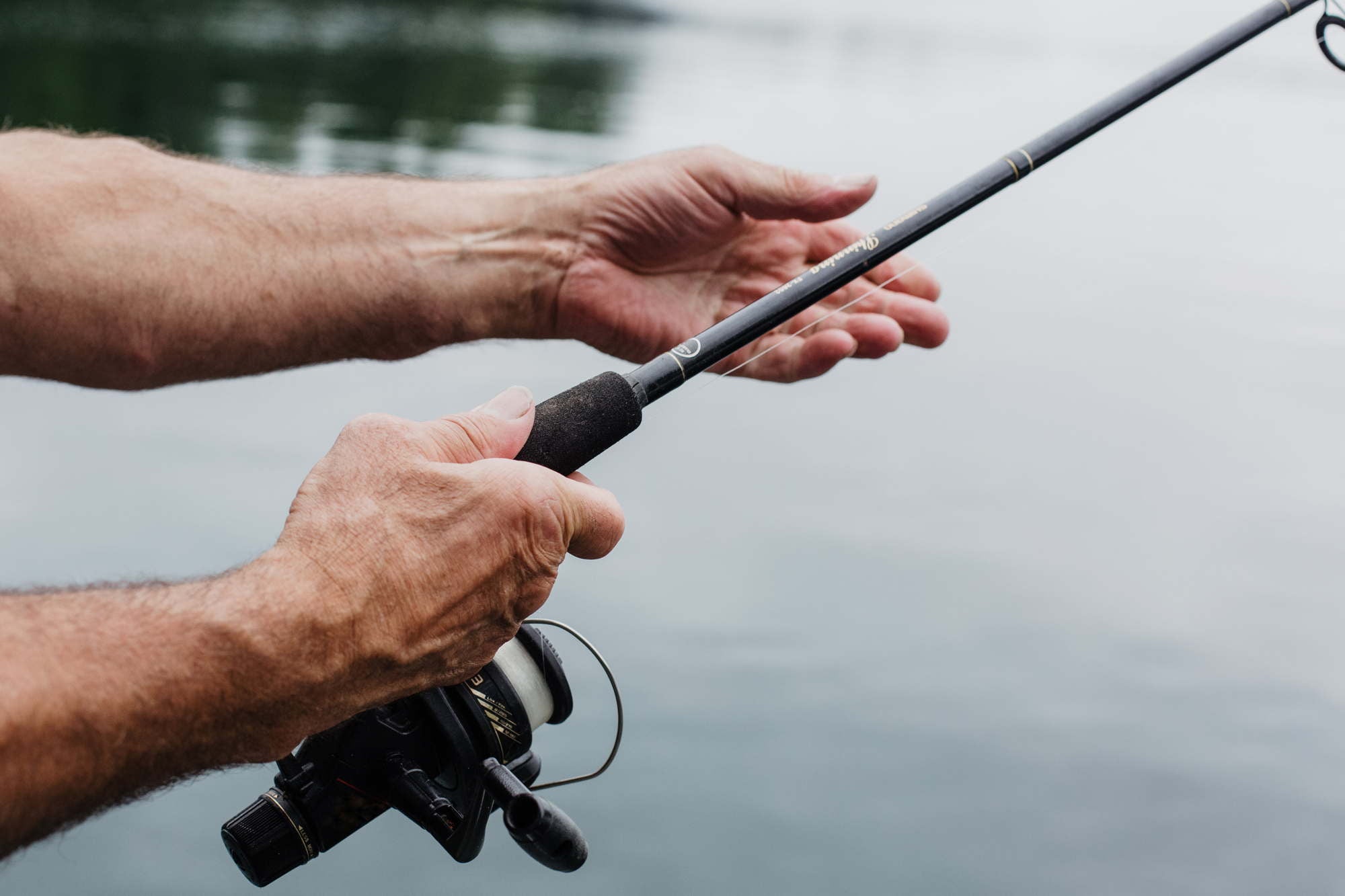 Rods & Reels