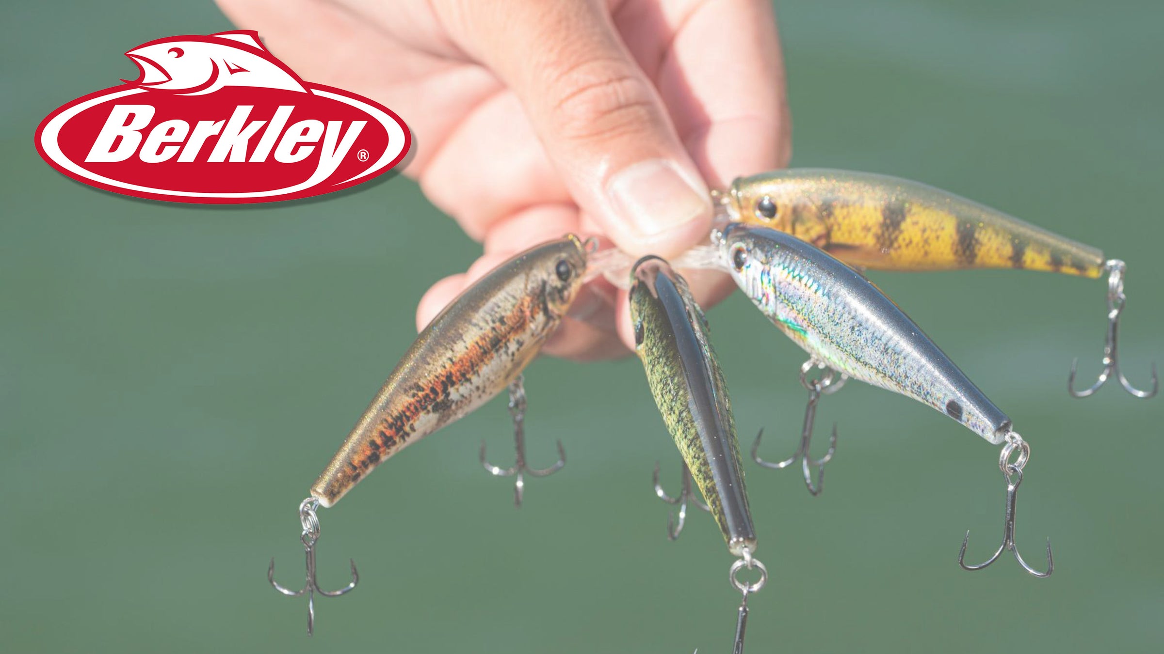 berkley fishing contact eGift Card legendary Gulp Berkley Fishing Line - TackleDirect