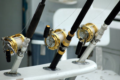 Photo of trolling fishing rods in holders