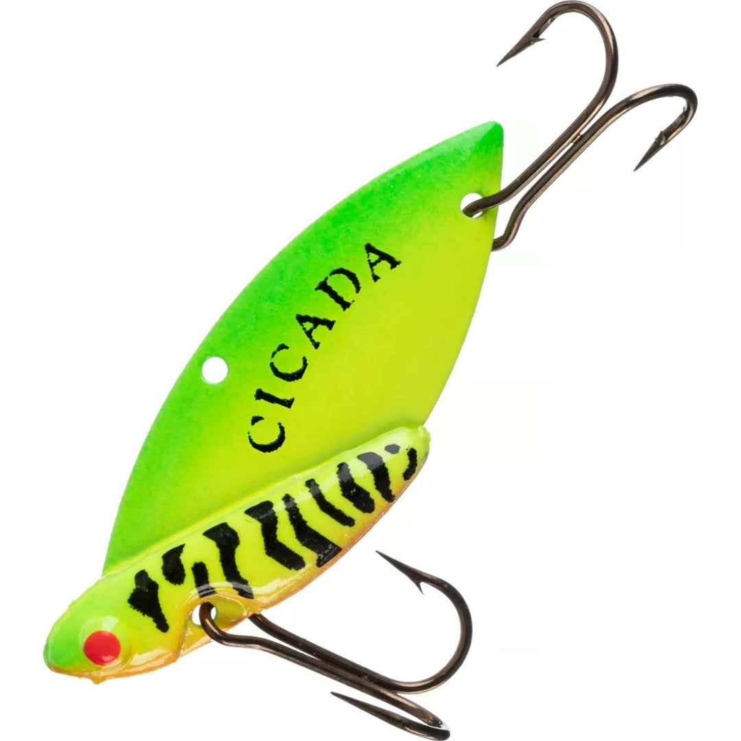 Reef Runner Cicada